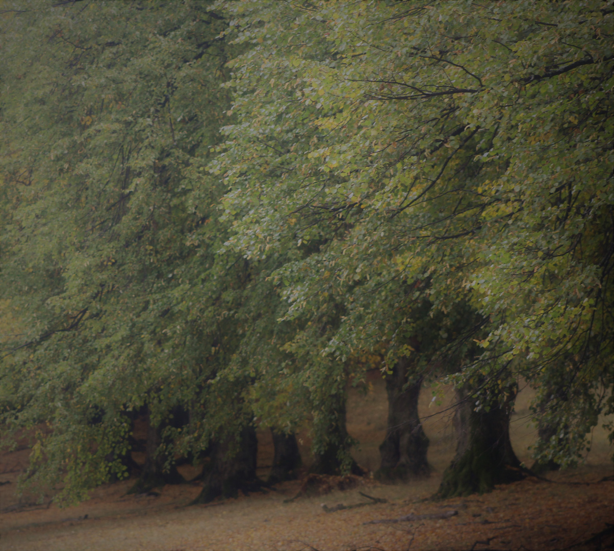 Herbstlandschaften