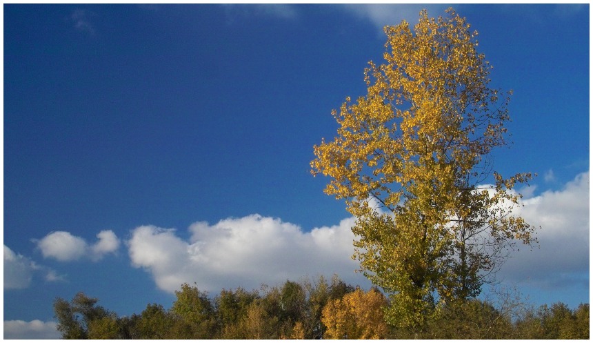 herbstlandschaften