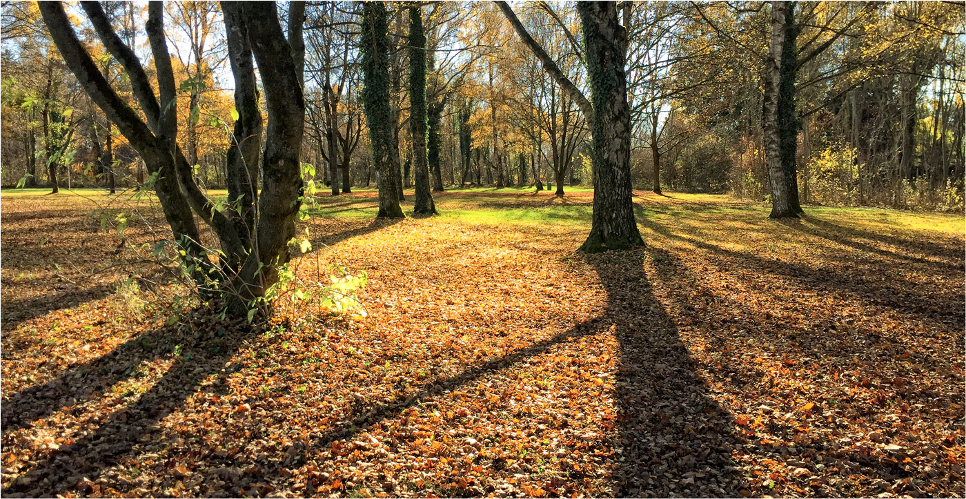 HERBSTLAUB