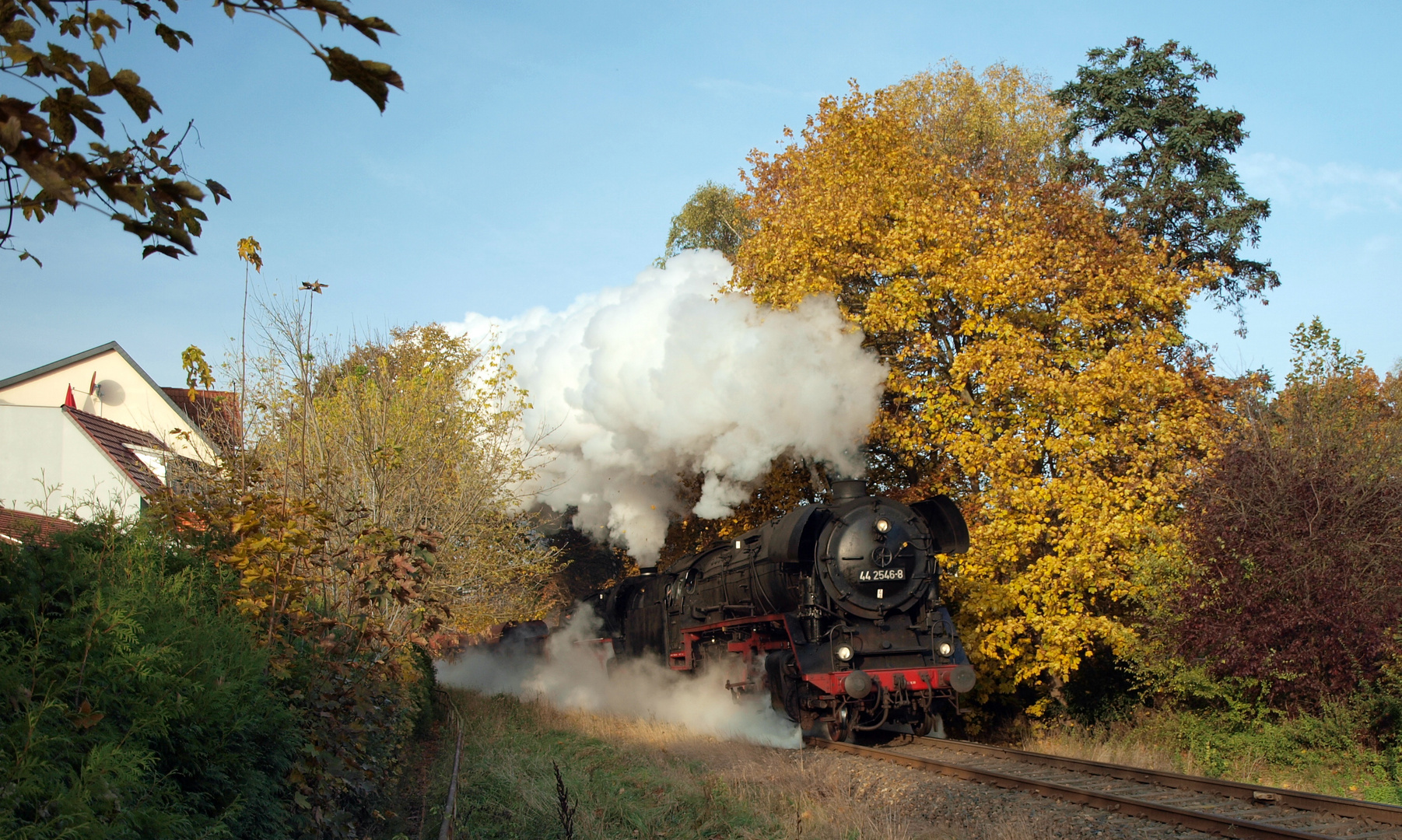 Herbstlaub