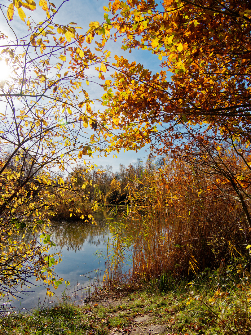 Herbstlaub