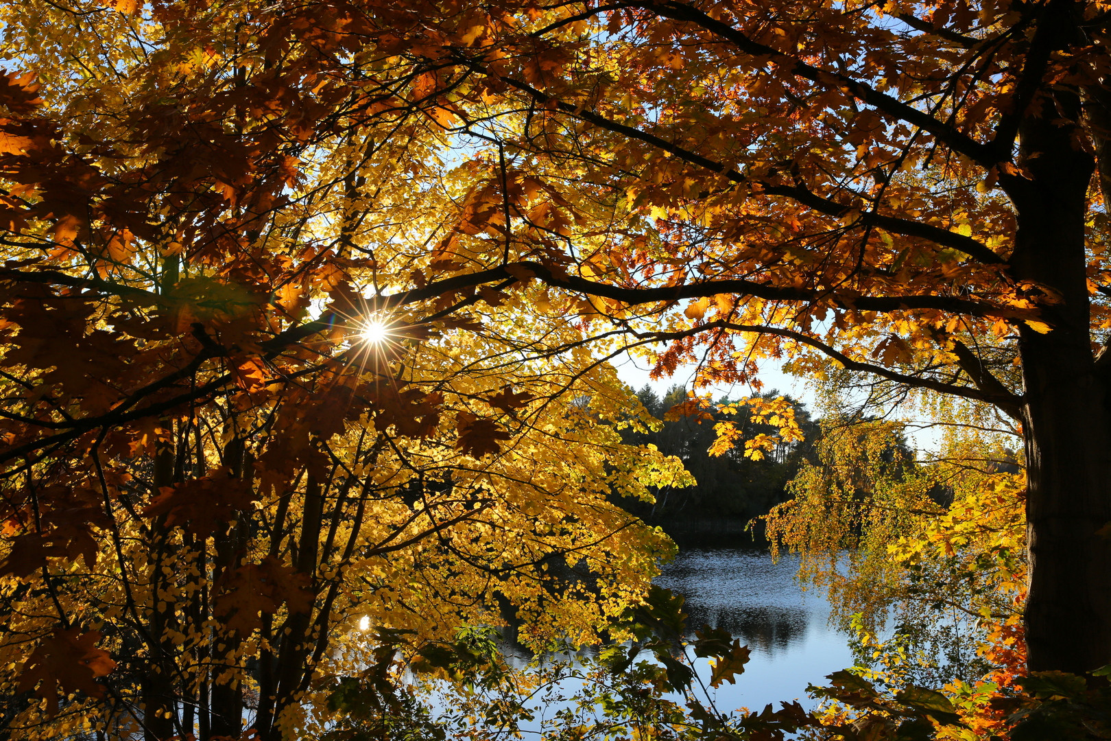 Herbstlaub