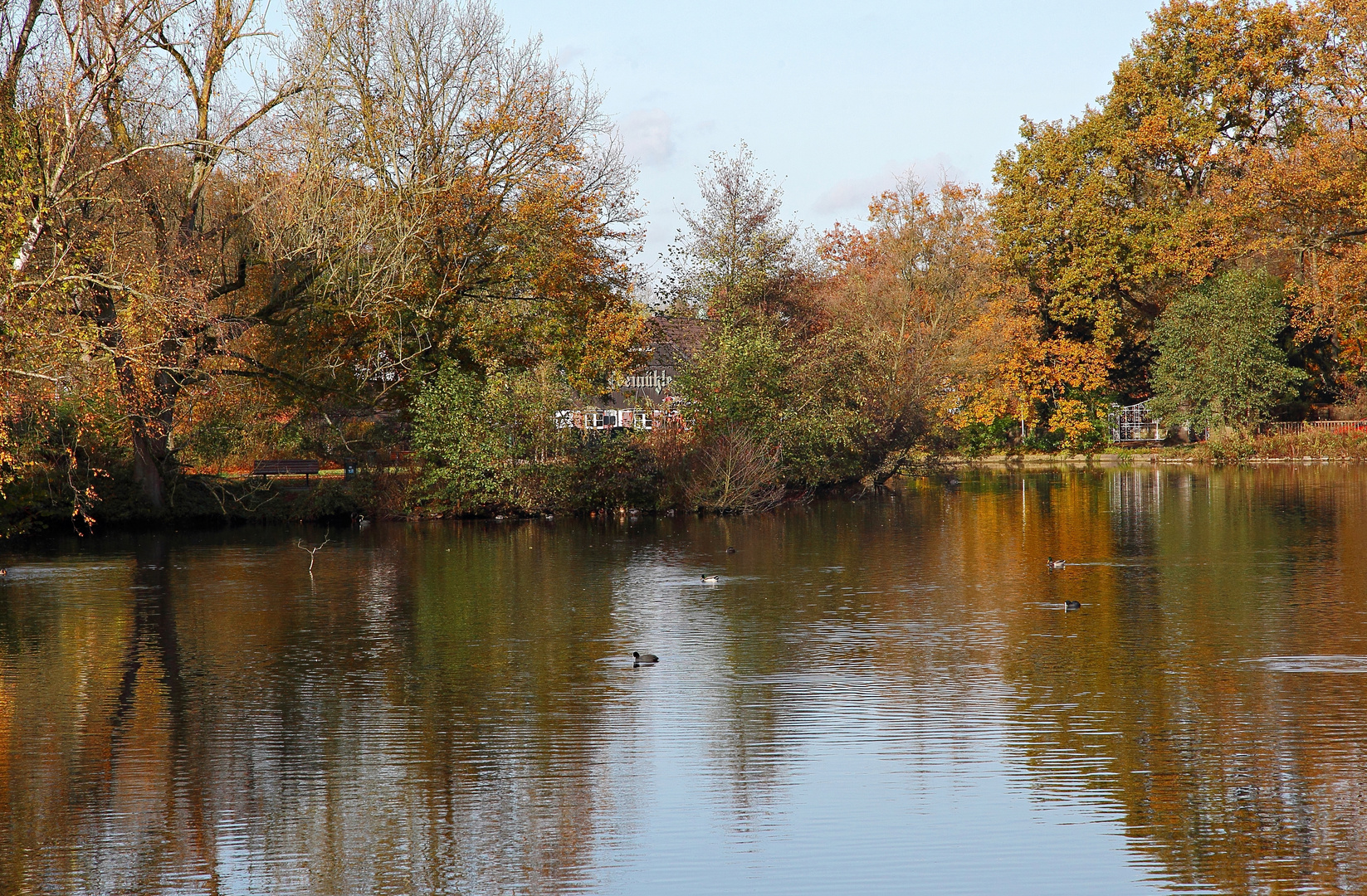 Herbstlaub