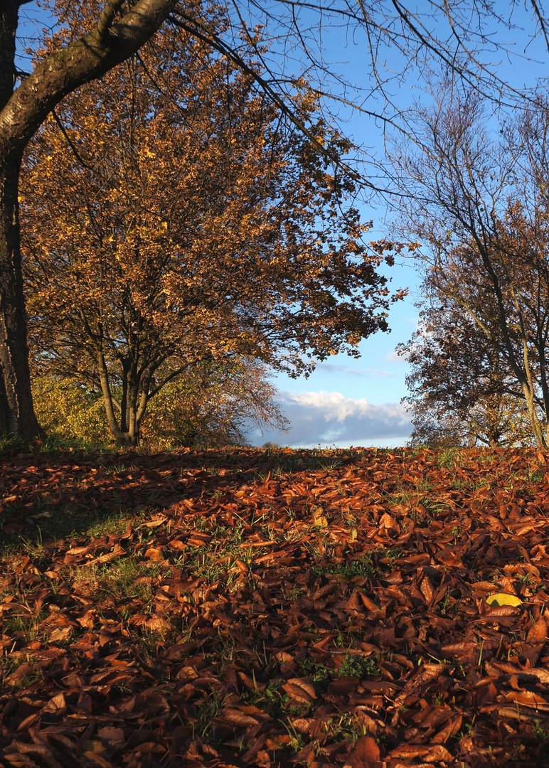 Herbstlaub