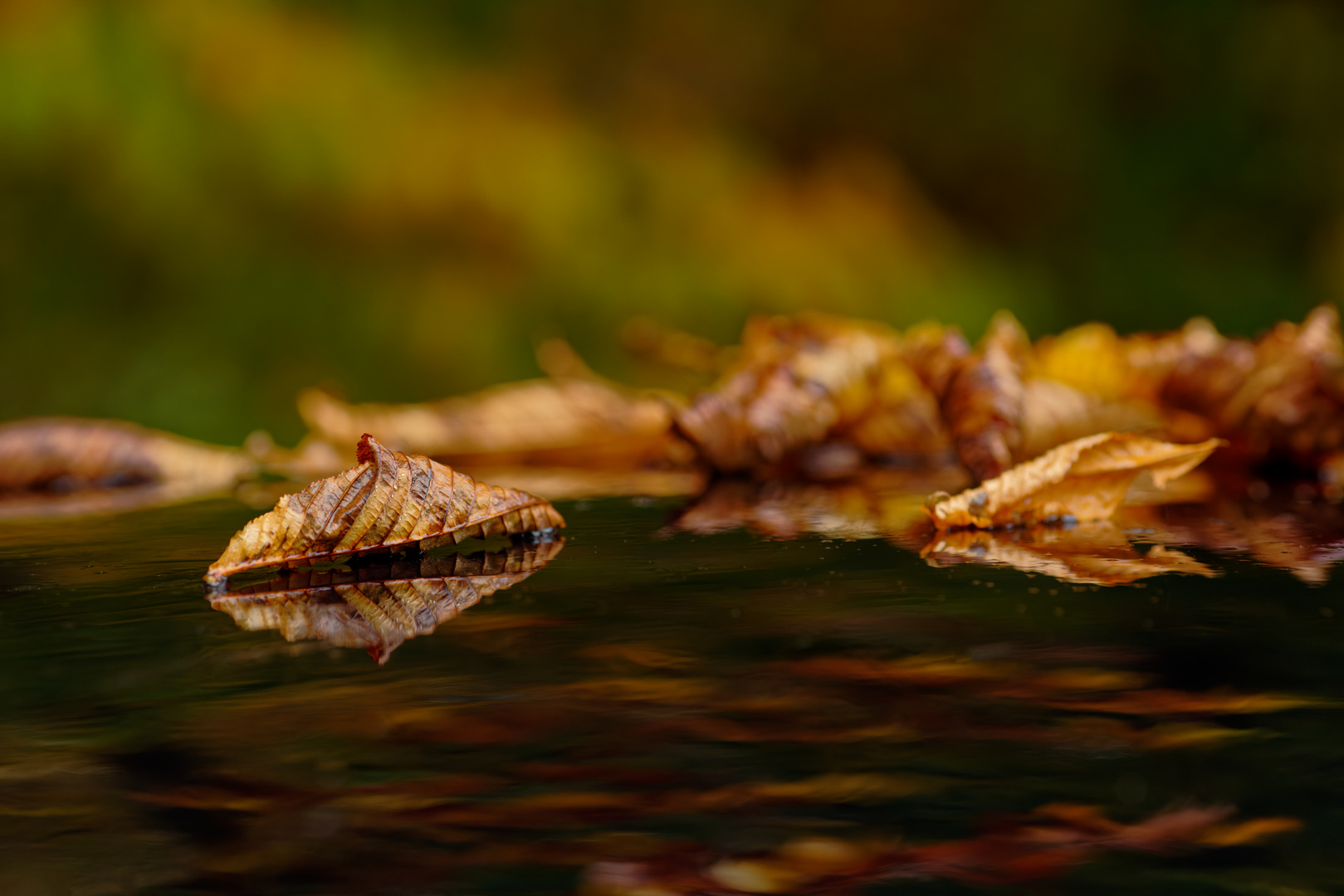 Herbstlaub