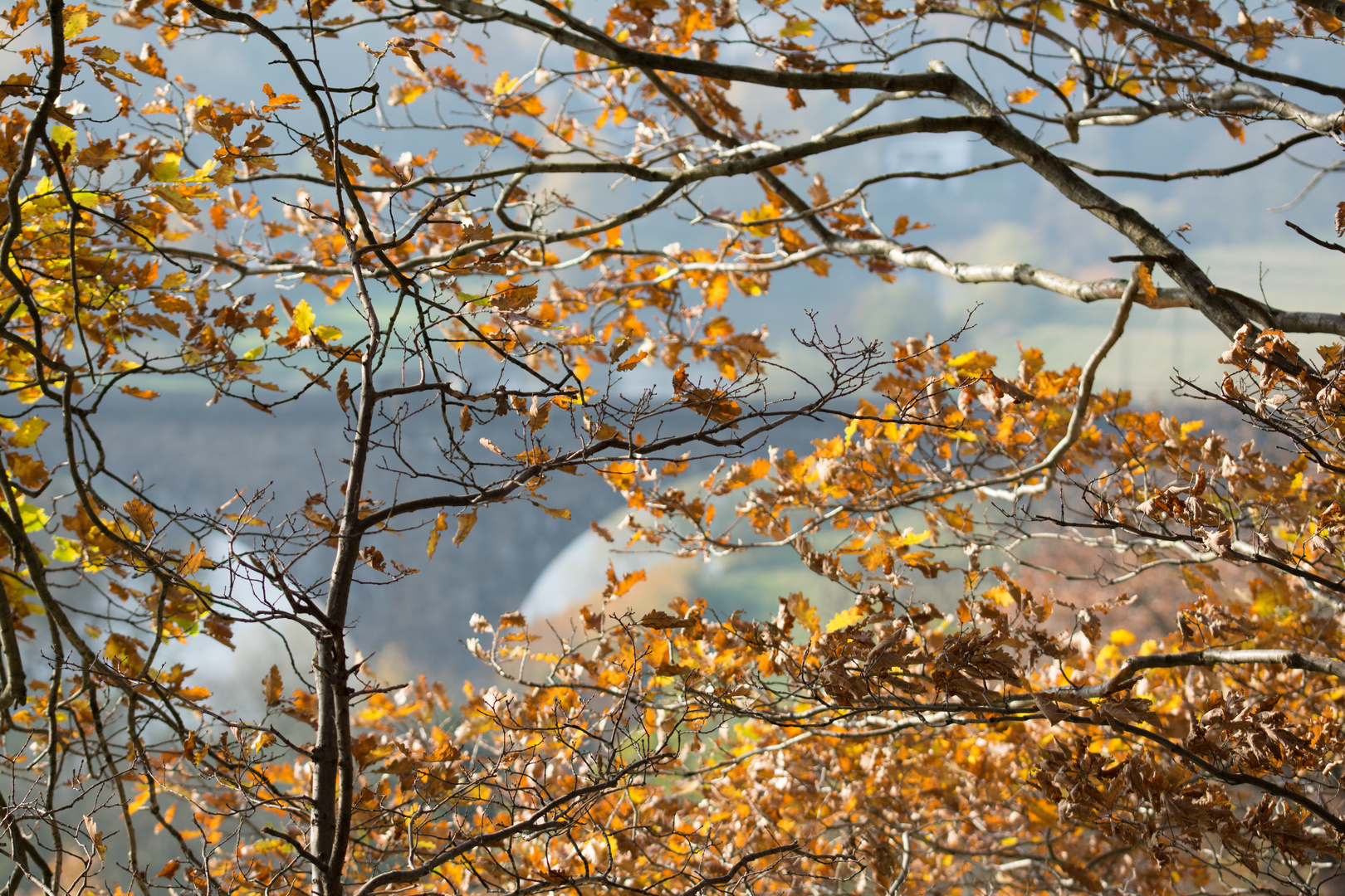 Herbstlaub