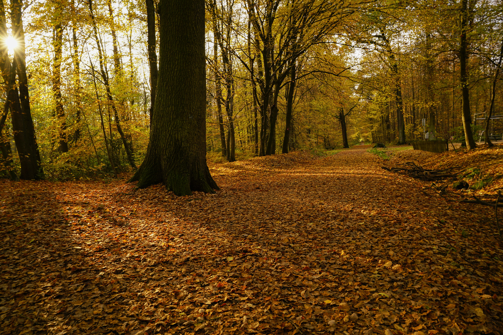 Herbstlaub