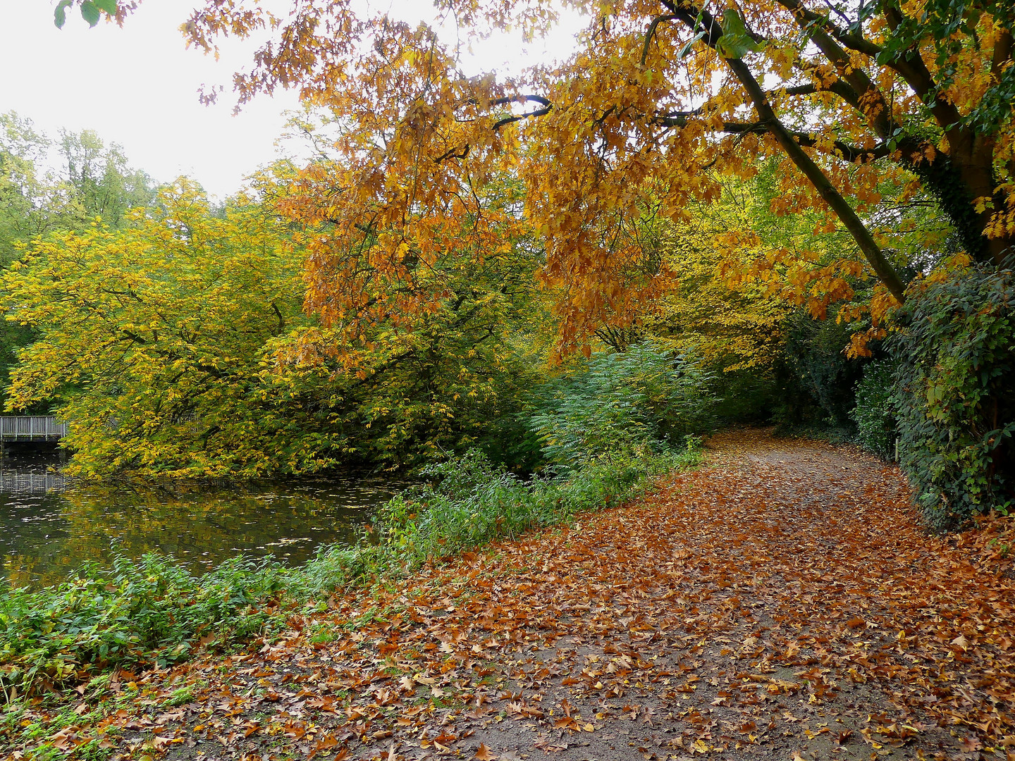 Herbstlaub