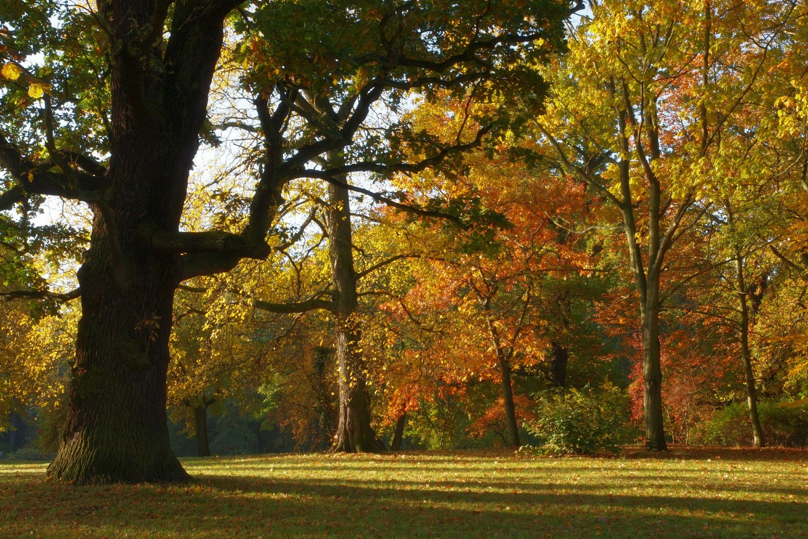 Herbstlaub