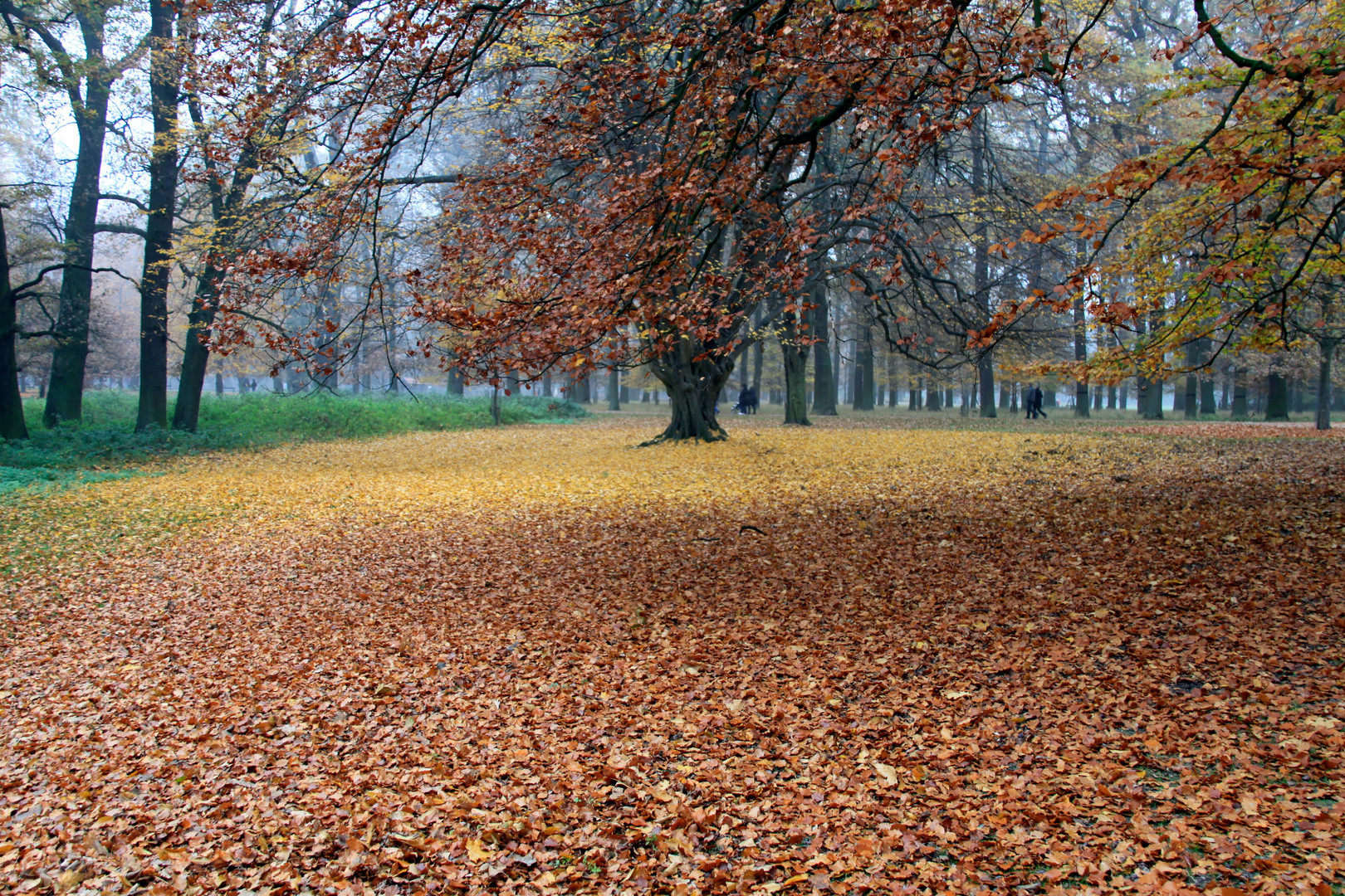 Herbstlaub