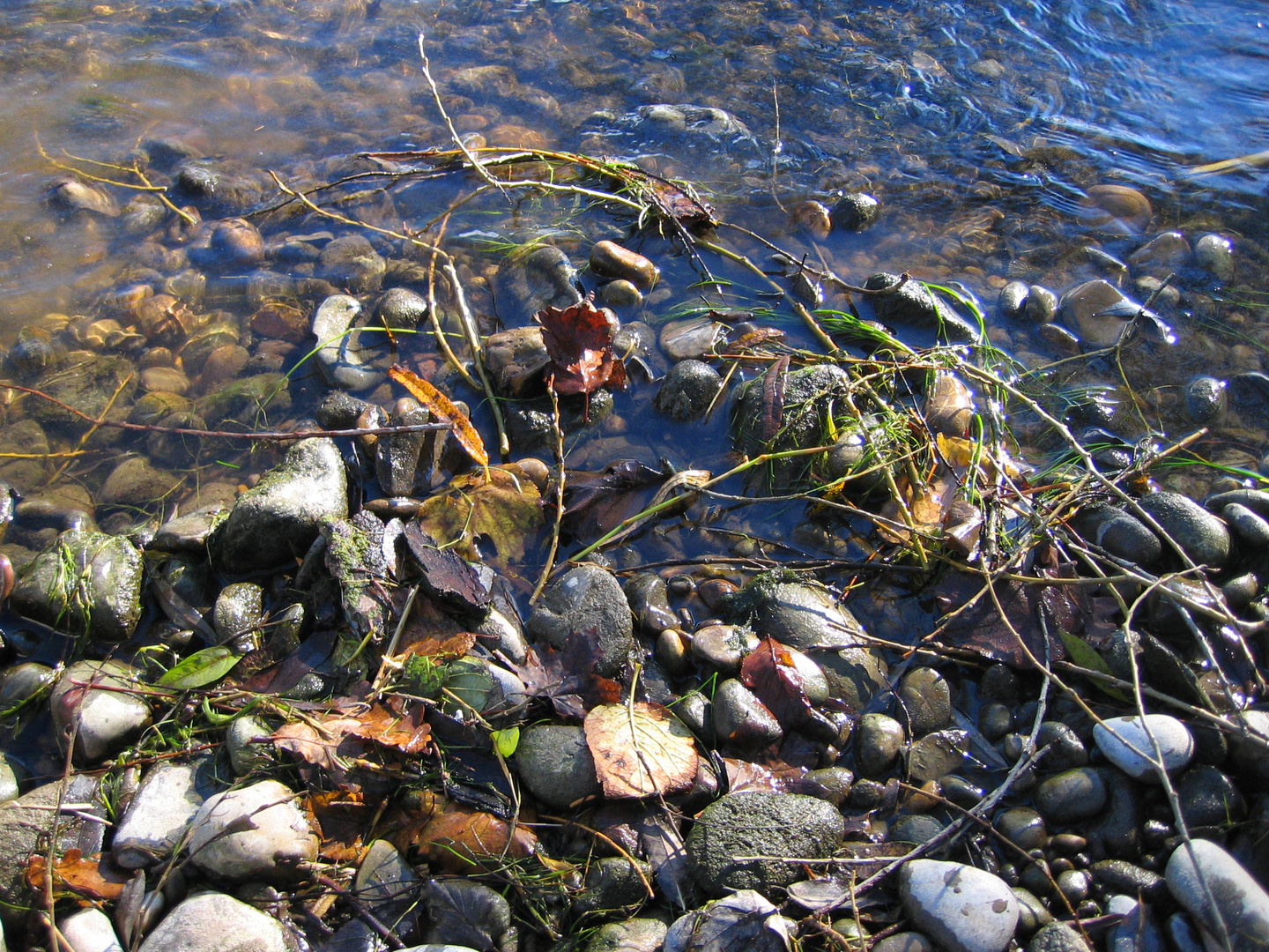 Herbstlaub