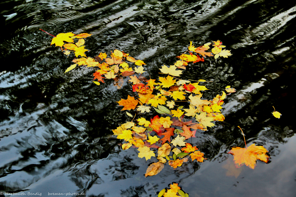 Herbstlaub