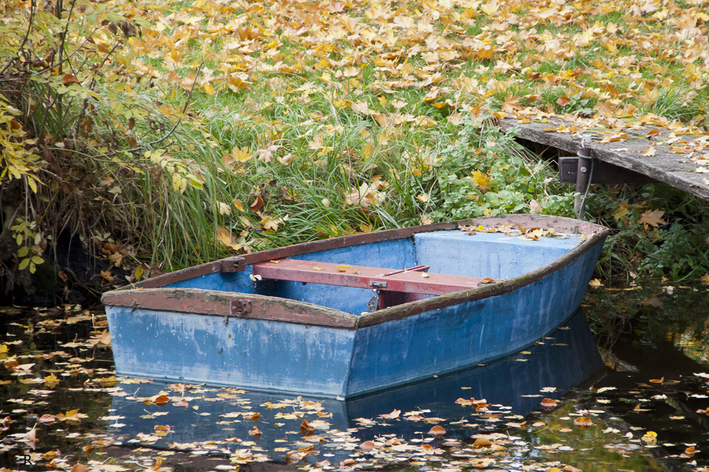 Herbstlaub