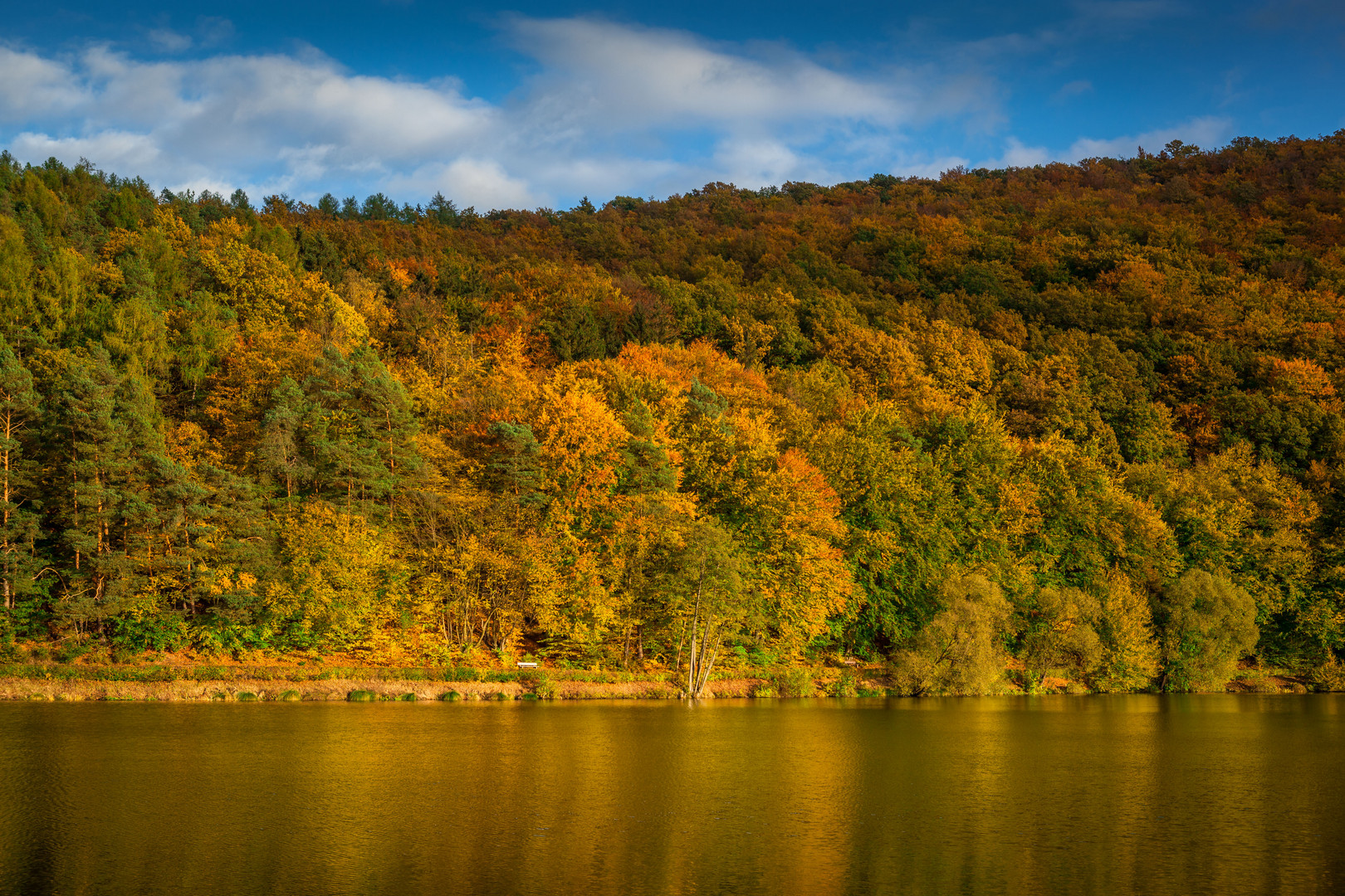 Herbstlaub