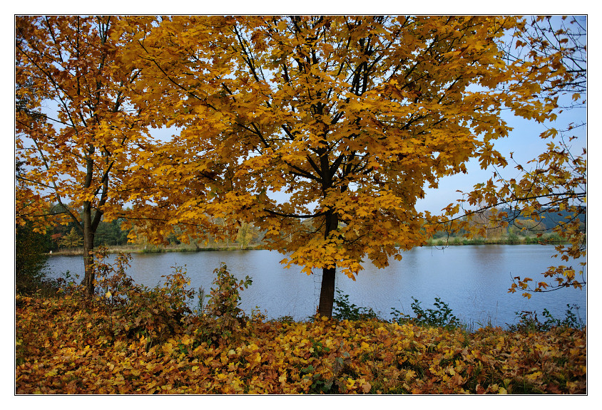 Herbstlaub