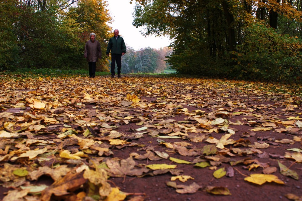 Herbstlaub