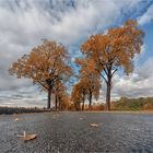 Herbstlaub...