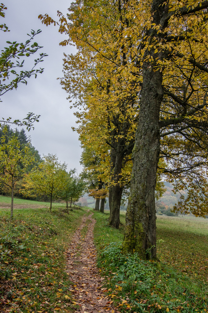 Herbstlaub