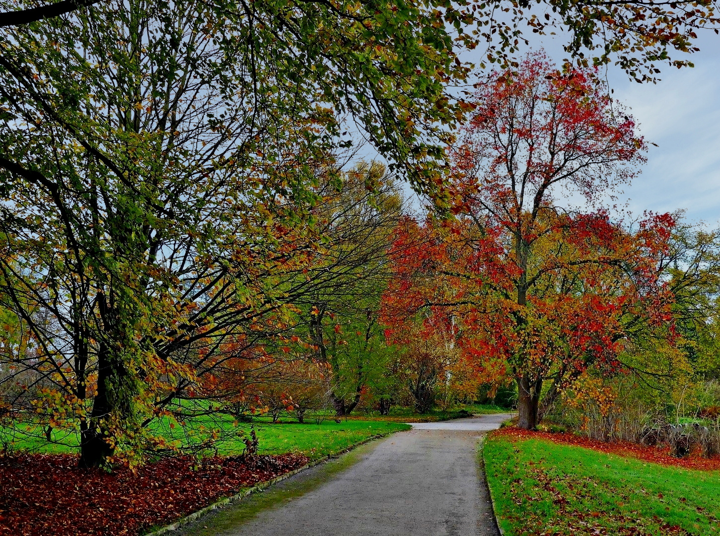 Herbstlaub