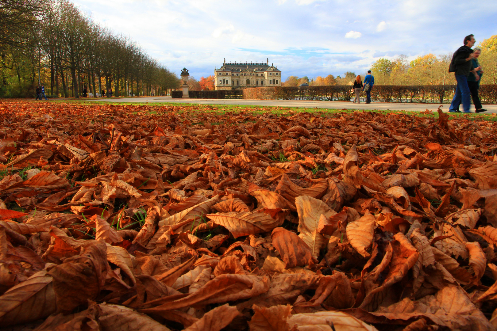 Herbstlaub