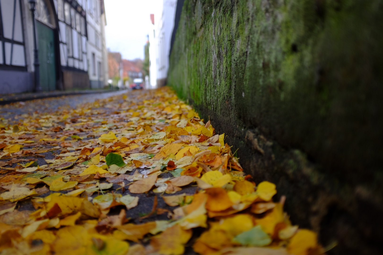 Herbstlaub