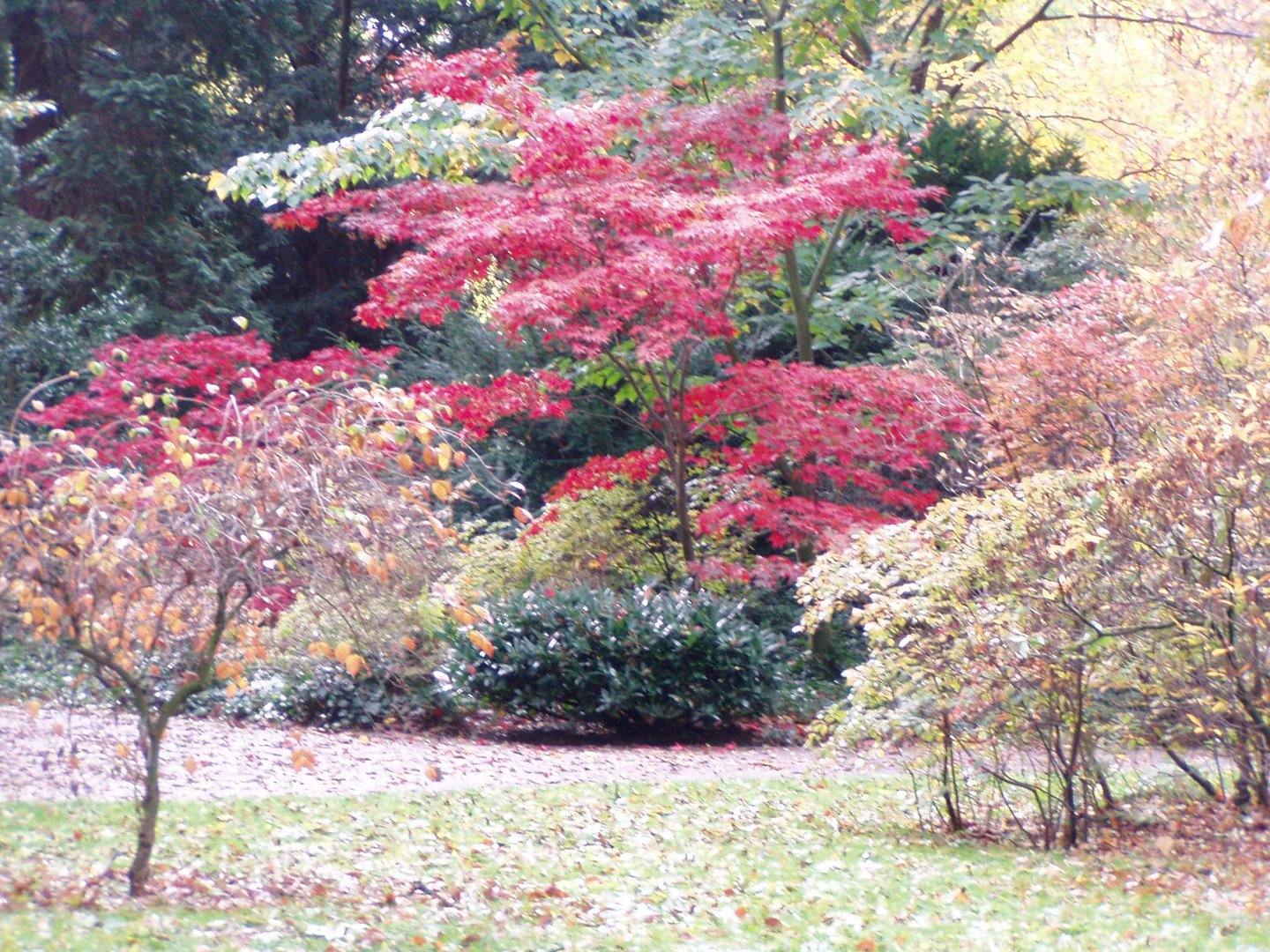 Herbstlaub