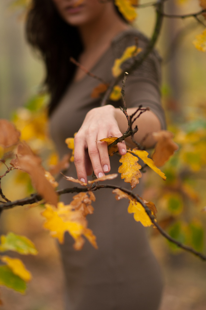 Herbstlaub