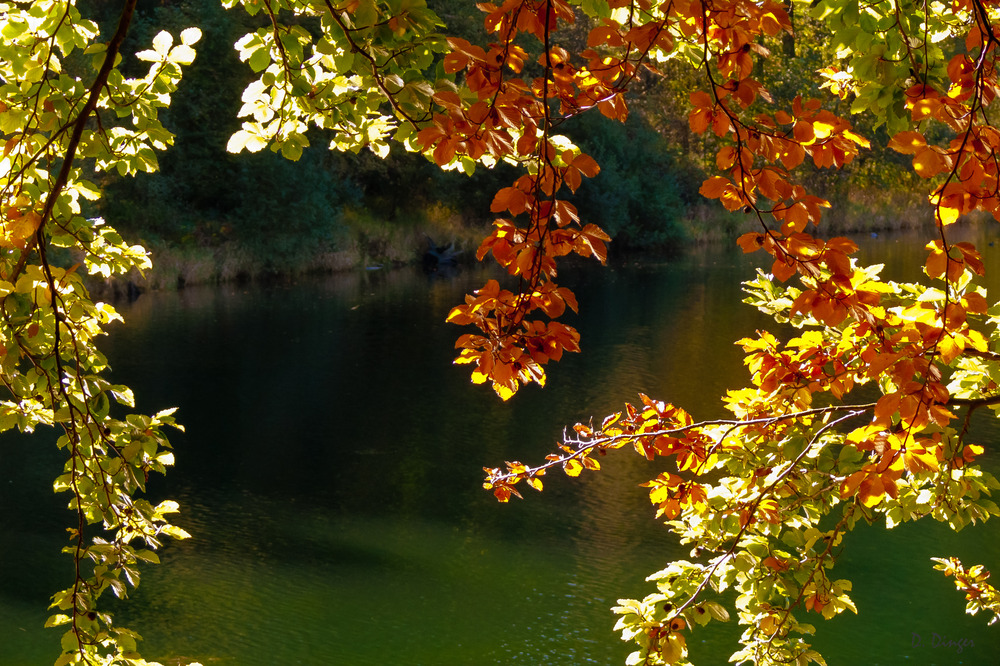 Herbstlaub