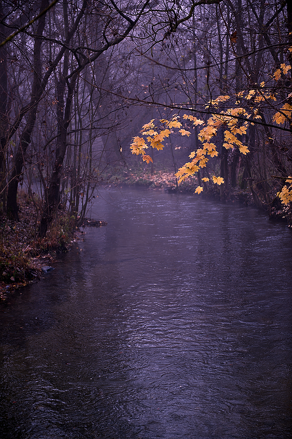 Herbstlaub