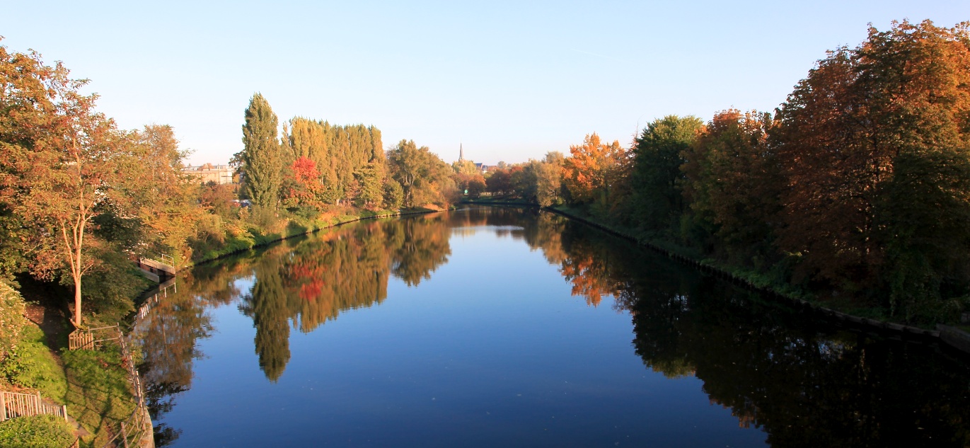 Herbstlaub