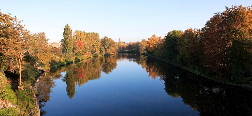 Herbstlaub