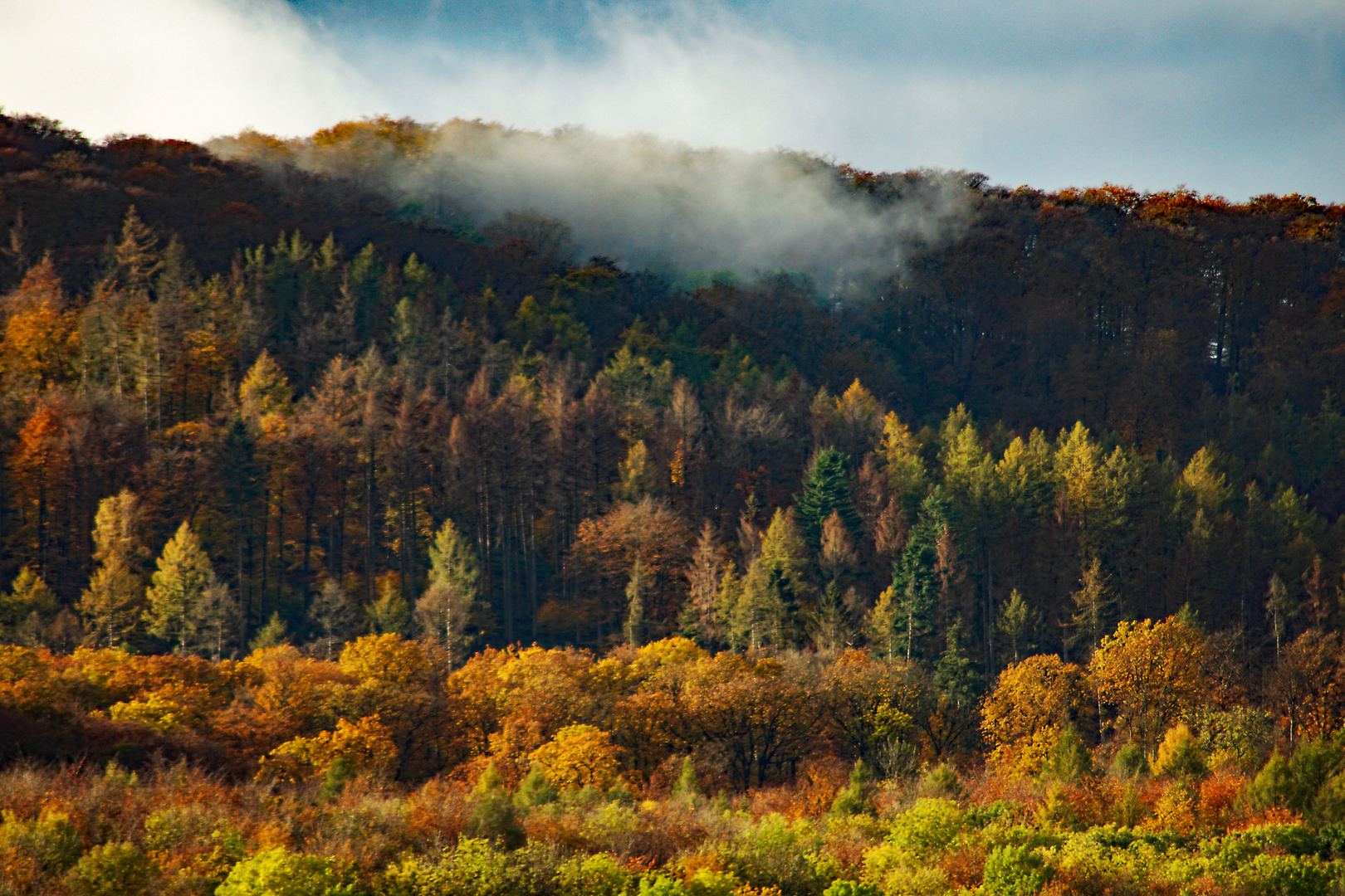 Herbstlaub