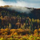 Herbstlaub