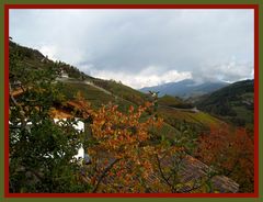 Herbstlaub