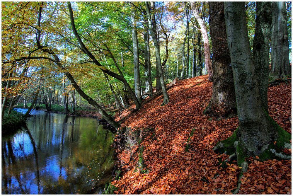 Herbstlaub