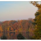 Herbstlaub am Glienicker Horn