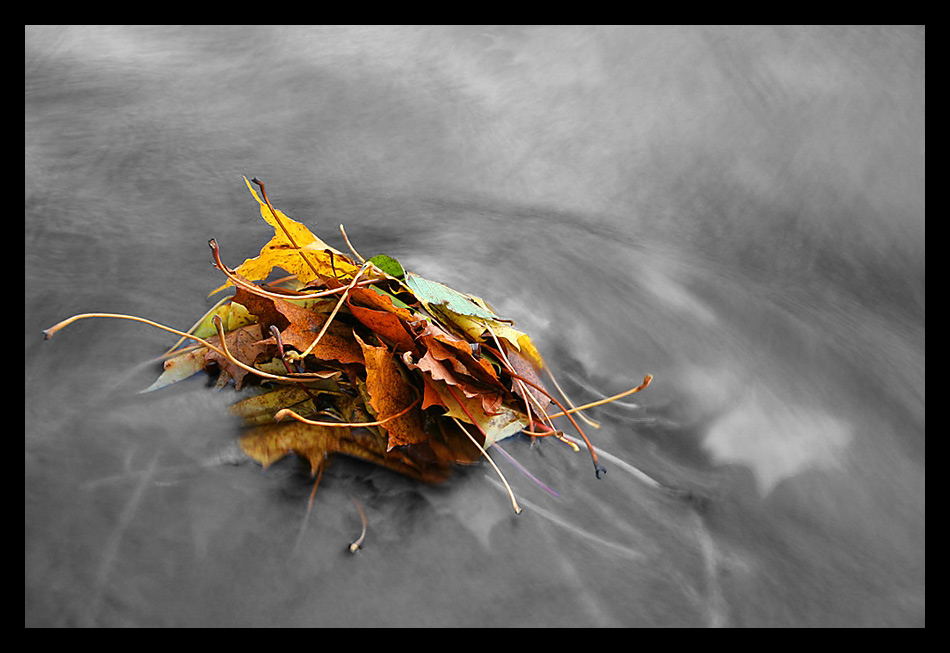 Herbstlaub am Möhnesee