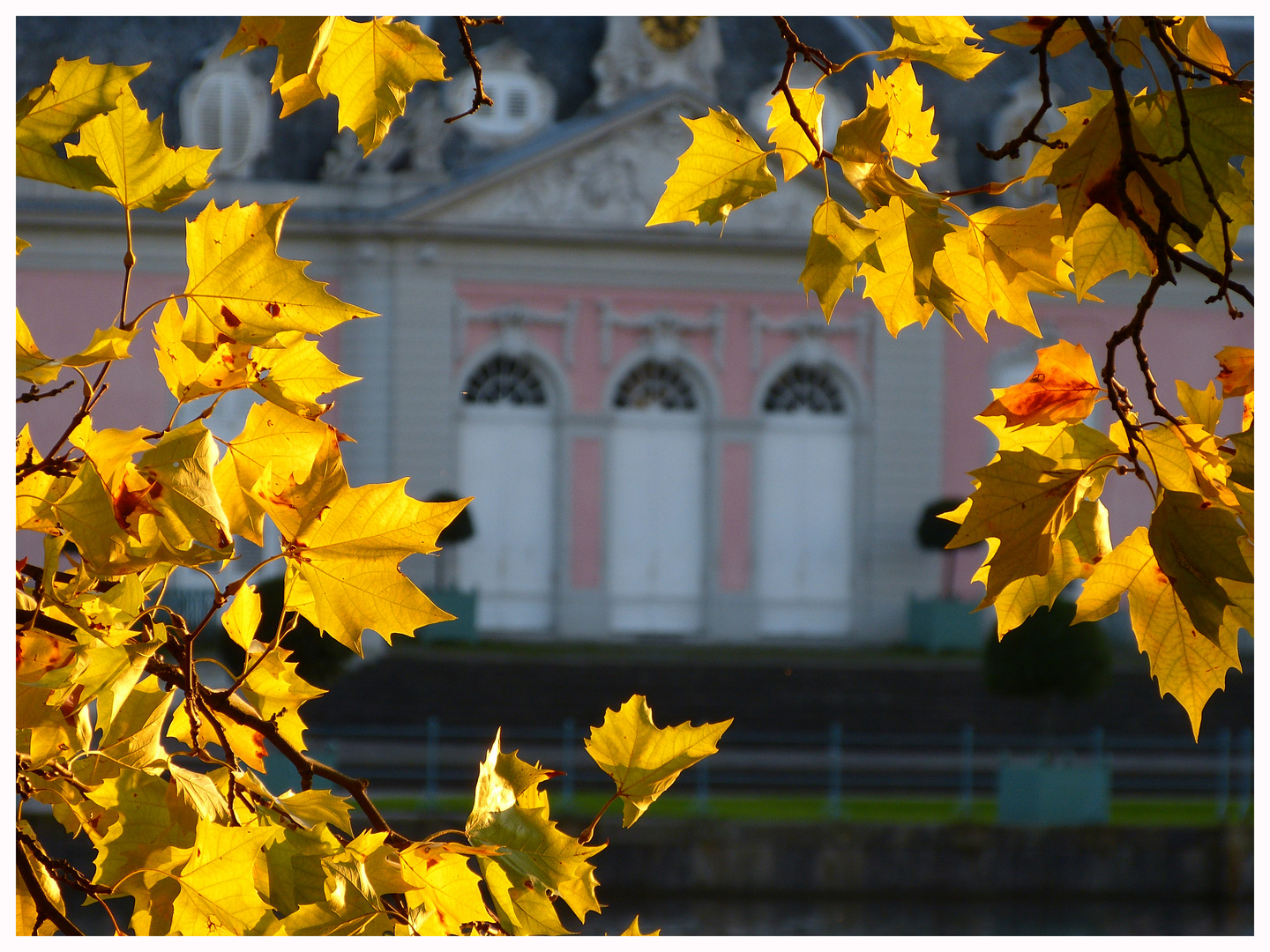 Herbstlaub am Schloss Benrath