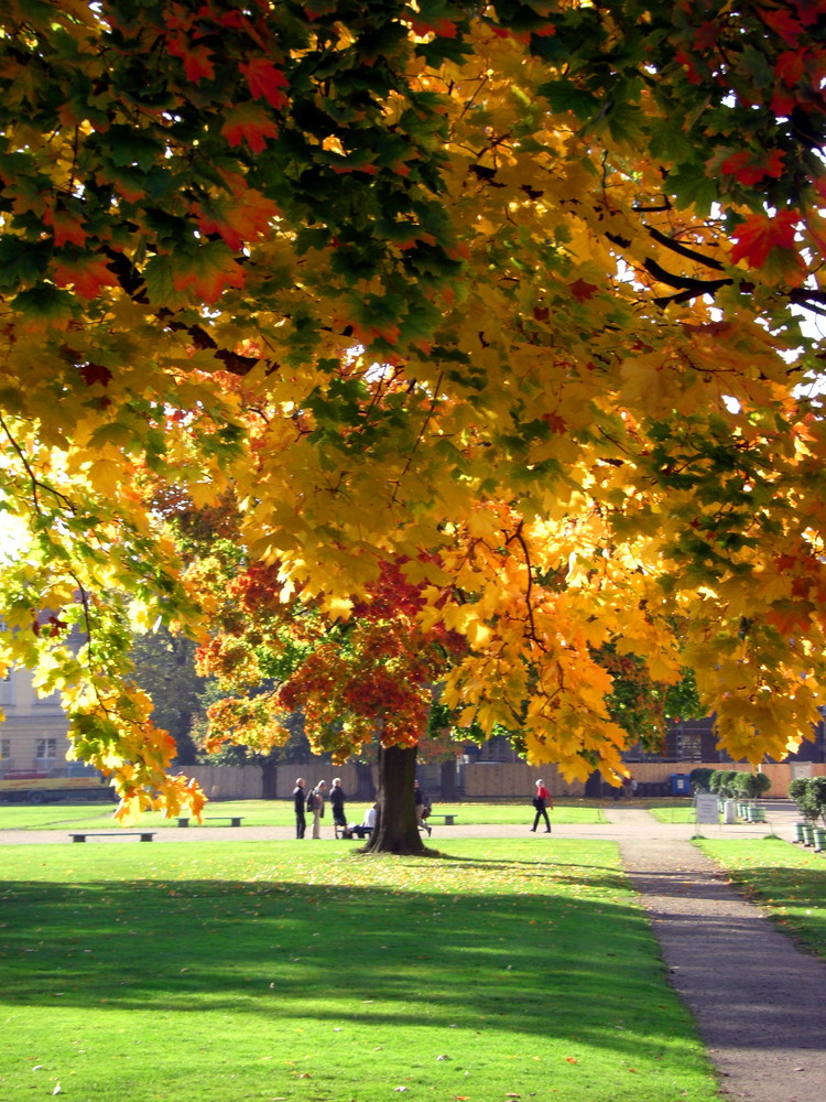 Herbstlaub am Schloss Charlottenburg