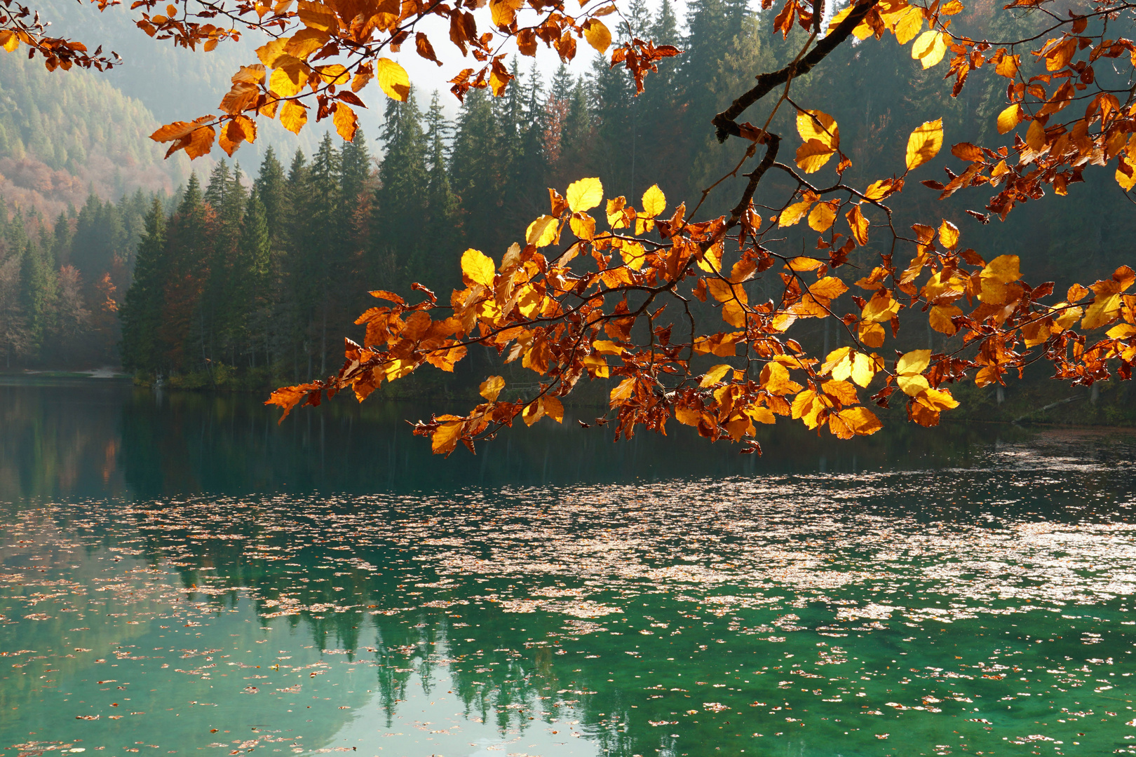 Herbstlaub am See