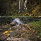 Herbstlaub am Wasserfall in Königshütte