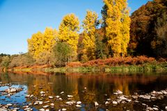 Herbstlaub an der Sieg