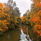 Herbstlaub an der Vils