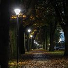 Herbstlaub auf dem Radweg 