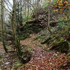 Herbstlaub auf dem Waldpfad