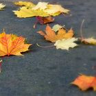 Herbstlaub auf der Mauer