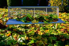 Herbstlaub auf der Parkbank