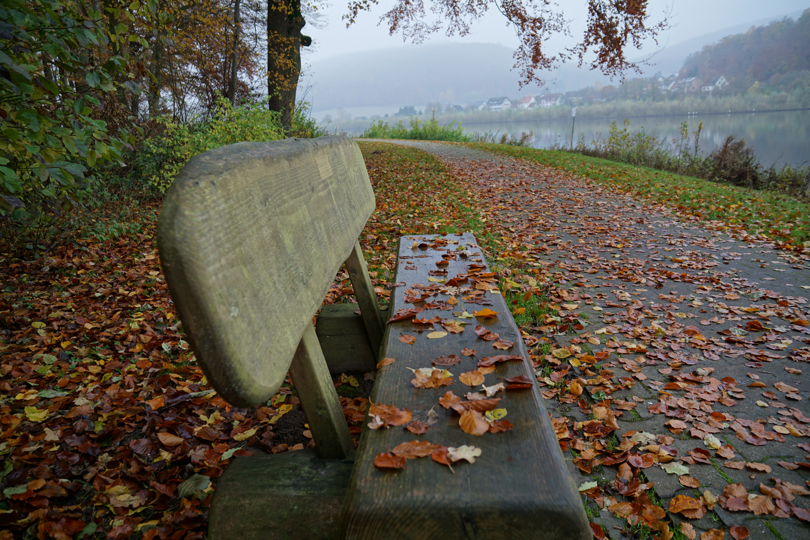 Herbstlaub auf einer Bank