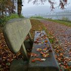 Herbstlaub auf einer Bank