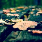 Herbstlaub auf Parkbank